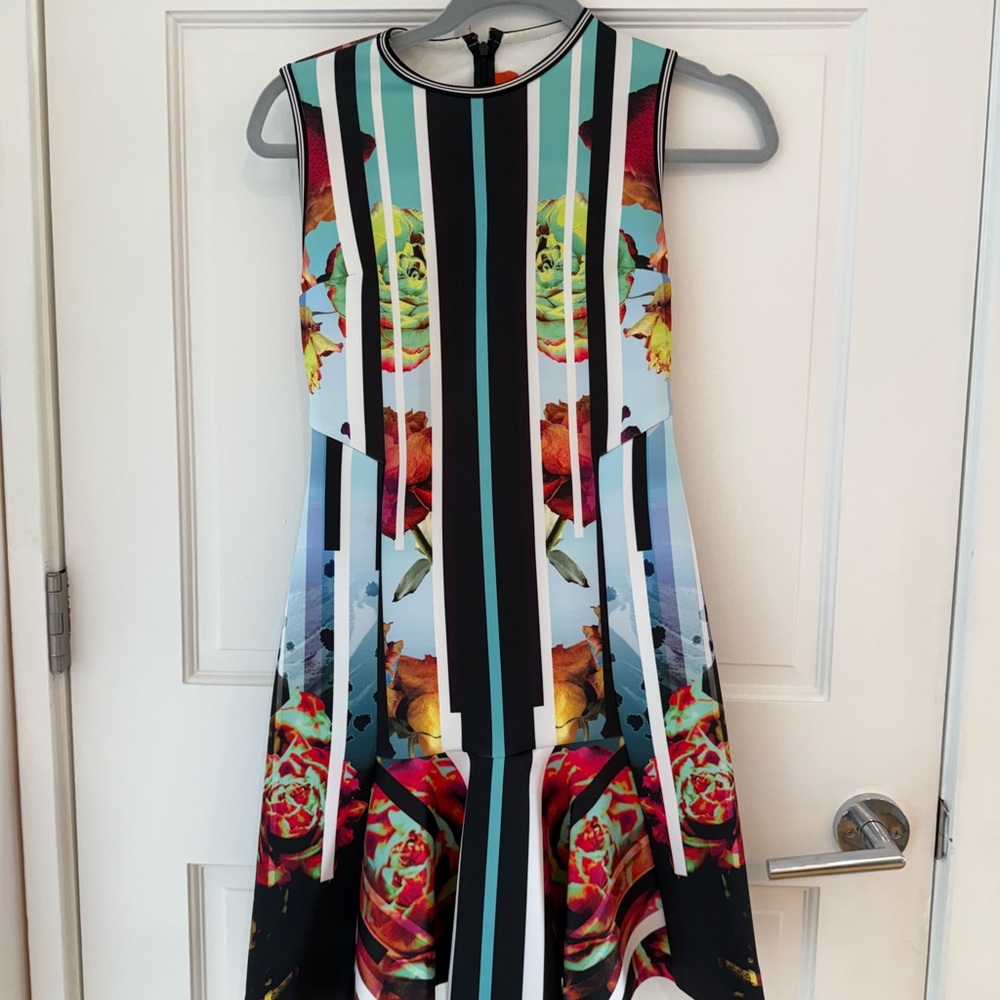 Clover Canyon Multicolor Floral Striped Dress